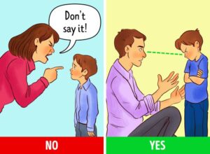 1c002057a6b851822c35e88d55