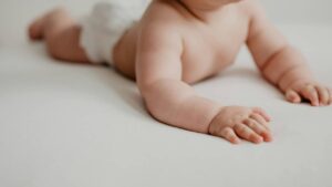 78bfaba b005 a888 05 03faca82f28e events landscape