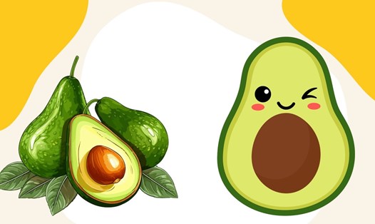 chuc nang gan qua bo